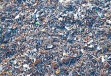 Некоторые изменения в законодательстве по обращению с отходами за февраль 2026