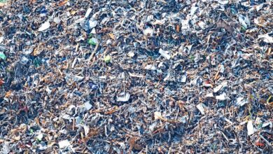 Некоторые изменения в законодательстве по обращению с отходами за февраль 2026