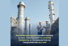 Росприроднадзор отчитался правительству о первых результатах внеплановых проверок и обязательных профилактических визитов на предприятия, которые не подали в срок заявки на получение комплексных экологических разрешений (КЭР).