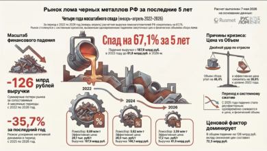 Рынок лома черных металлов РФ за последние 5 лет