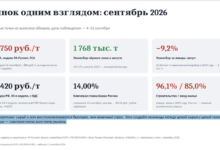 Текущая ситуация на рынке лома черных металлов на одном слайде в докладе директора Ассоциации НСРО "РУСЛОМ.КОМ" на вебинаре 15 сентября
