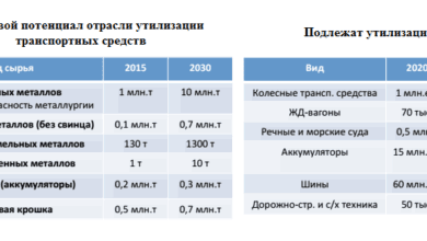 Пример сырьевого потенциала, по данным НП НСРО «Руслом.ком»