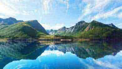 ОНФ представит свои экологические предложения