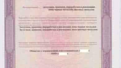 Лицензирование и экологический сбор в ломоперерабатывающей отрасли. 10 декабря 2015 г.