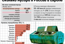 Раздельный сбор мусора обязательным не станет