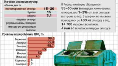 Раздельный сбор мусора обязательным не станет