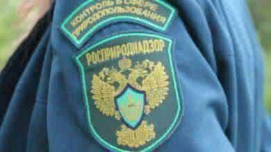 Росприроднадзором утвержден новый Федеральный классификационный каталог отходов