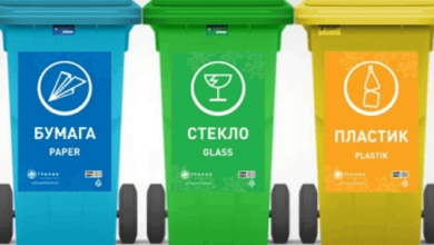 Экологи обсудят проблемы ответственного сбора макулатуры