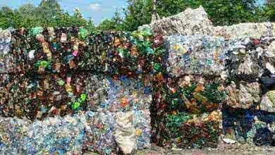 Битва за экологию: какие войны развернулись на рынке переработки вторсырья